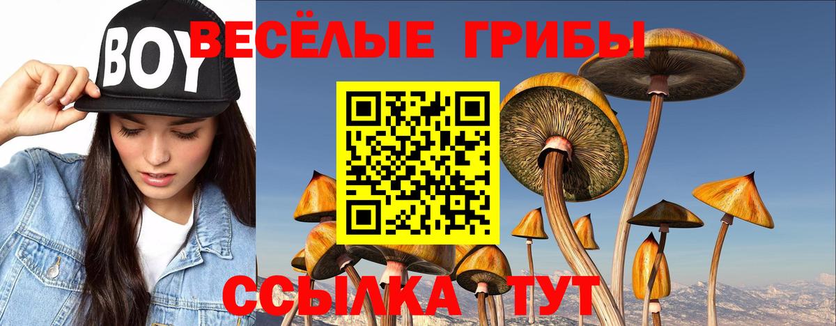 Ангарск  Галлюциногенные грибы Cubensis  Вход с VPN 